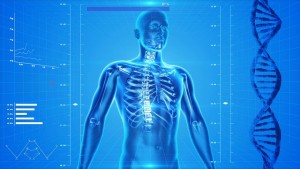  cervicalgia misma aseguradora en Orihuela