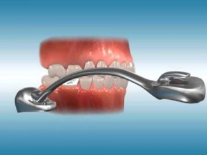 Ortho Organizers
